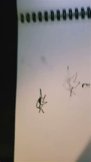 support a small creater