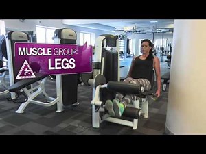 Seated Hamstring Curl