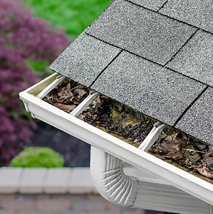 Are your gutters filled with leaves, pine needles and other debris? With LeafFilter, your gutters will be clog-free for life! | LeafFilter Gutter Protection