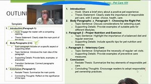 初阶描写叙事写作：英文写作框架outline怎么列？