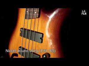 Roundwound vs. Flatwound (Fretless Bass)