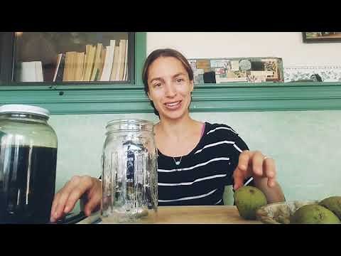 How to Make a Black Walnut Tincture with Green Walnut Hulls Skin Saver