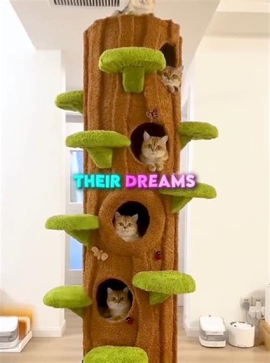 He Built a Dream Tower for His Cats 🐾#CatTower #DIYPets