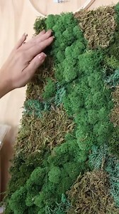 37K views · 332 reactions | Moss Wall Art #dollartreediy #moss #wallart #walldecor #reels | Liz Fenwick DIY | Facebook