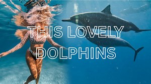 Unbelievable Dolphin Encounter — They Came Right Up to Her!