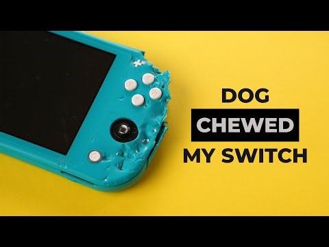 I Bought a Dog-Destroyed Nintendo Switch Lite — Can I Fix It?