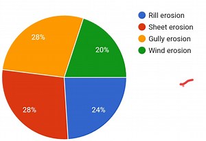 28%Rill erosionSheet erosionGully erosion20%Wind erosion2... | Filo