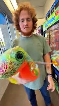 Can We Win The Snake 🐍 From The Walmart Claw Machine?