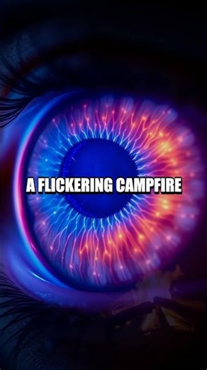 Shadowcraft Evolution of Night Vision