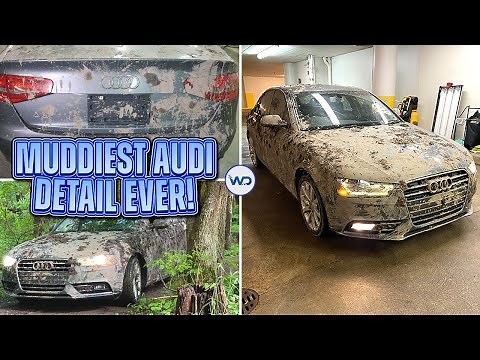 Deep Cleaning The Muddiest Audi A4 EVER! | Insane Satisfying DISASTER Detail Transformation!
