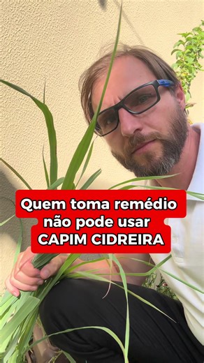 O chá de capim-cidreira, capim-santo ou capim-limão (Cymbopogon citratus) contém diversos compostos bioativos, principalmente citral, geraniol e mirceno, presentes no seu óleo essencial. Essas substâncias possuem efeito relaxante leve sobre o sistema nervoso central, podendo ajudar a reduzir ansiedade, tensão e favorecer o sono. Por causa dessa ação calmante, quando o chá é consumido junto com medicamentos sedativos — como alguns ansiolíticos, benzodiazepínicos, hipnóticos ou certos antidepressi