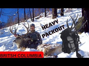 Spot and Stalk Mule Deer Hunt | BC