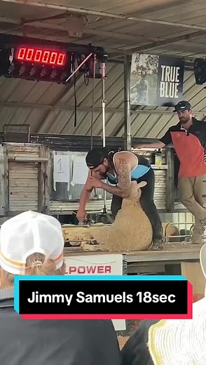 Fastest Shearing in Australia: Jimmy Samuels 18sec