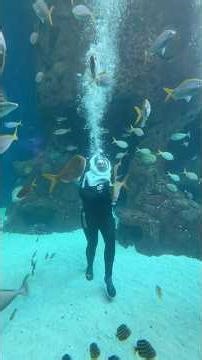 No kids, no husbands... just magic. 🐠✨ #InnerChild