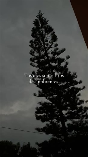 ❤️ #love #viral #fyp