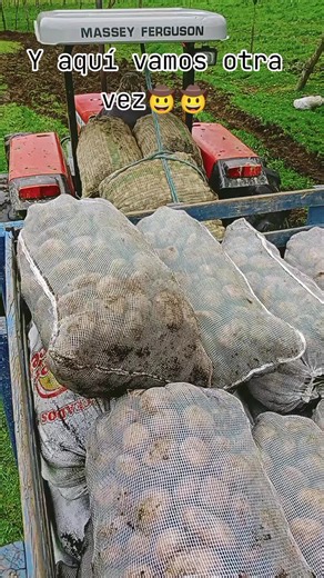 alexandercastro2166 on TikTok