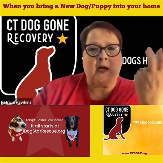 5.7K views · 64 reactions | We are so happy to be joined with a...