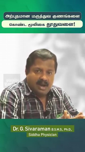 1.1K views · 16 reactions | Dr.Sivaraman tells the benefits of Solanum trilobatum (தூதுவளை) | #healthadvice #foodbenefits #healthbasket #thuthuvalai #sivaraman For more details Visit: https://healthbasketonline.com/ | Health Basket Tamil | Facebook