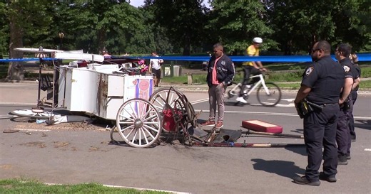 NYC Council will consider horse carriage ban after tourist's death