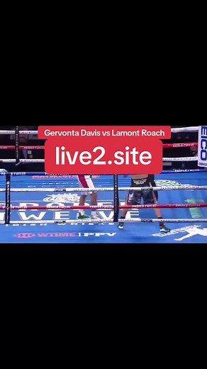 Davis vs. Lamont Roach Full Fight Live, Davis vs. Lamont Roach Live, Davis vs. Lamont Roach #Live #davis