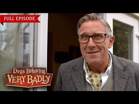 Everyone in the Street Hates Our Dogs – And We Get It