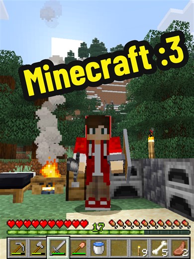 Cumpliendo Sueños: ¡Compré Minecraft Después de 12 Años!