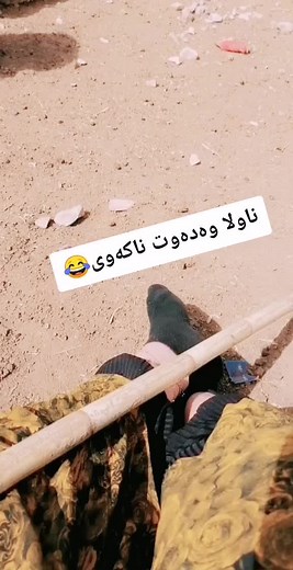 Exploring Sheep Varieties in Rural Landscapes