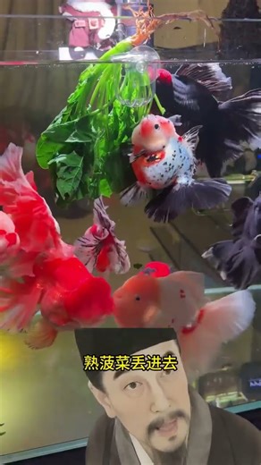 Fishkeeping Tips: Follow These Tips and You'll Lose Money #PlantingTips #AI #Fishkeeping