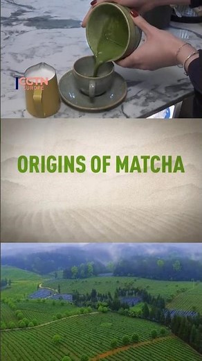 Matcha revolution: Green tea powder success explained