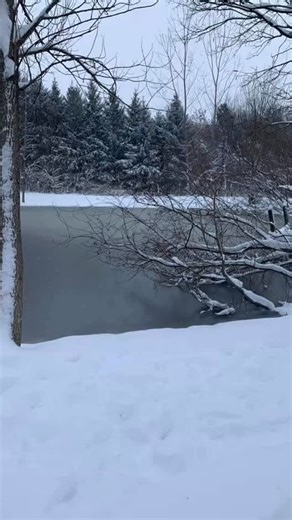 Quills daily ink: Happy Sunday!! Shop is open today til 4 Upcoming Holiday shop Hours Monday Closed Tuesday 12/30 10-5 Wednesday 12/31 New Years Eve 10-3 Thursday 1/1/2026 New Years Day closed #oneluckydogbakery #medinaohio #medinaohiodogs #medinaohiodogsofinstagram #followers | One Lucky Dog Bakery