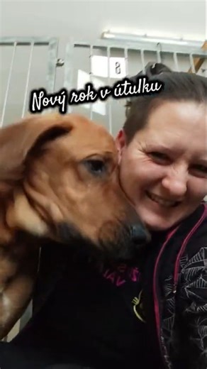 Útulek Tábor 🐕🐈 on Instagram: "Všechna naše útulková zvířátka přežila silvestrovskou noc v pořádku ✅🙏🏼. Dokonce neměl noční hluk oslav vliv ani na jejich noční čistotnost, ani na ranní chuť k snídani a k vřelému vítání 🎀. Celý prosinec byl, co se týče petard, mnohem lepší než jakýkoliv předtím 🙏🏼. Silvestrovské oslavy byly ale víceméně stejně intenzivní jako každý rok. 🙄 Buďte k sobě a k ostatním v novém roce 2026 laskaví 🐾🎀."