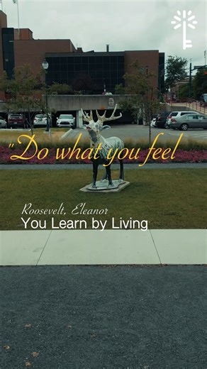 ✨📚 Expand Your Horizons, One Page at a Time ✨📚�Elkhart Public Library is your gateway to ideas that motivate, challenge, and transform.�📖 Explore quotes that inspire action.�📍 Visit our five branches today.�🎬 Follow our reels and let every book light your path.�#MyEPL #Elkhart #ReadInspireGrow #QuotesThatChangeLives | Elkhart Public Library