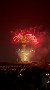1.3K views · 54 reactions |  Daegu eworld Fireworks Show  The magic of World continues! #불꽃쇼이벤트 #daegu #daegutower #fireworkshow #fyp #eworld #DaeguKorea #daegu83tower #대구 #불꽃쇼 #fblifestyle #fypシ゚viralシfypシ゚ #fypreelsシ゚viralシ #fypシ #explorekorea #travelkorea #wheninkorea #autumn #autumnleaves #october | SOLOTravel | Facebook