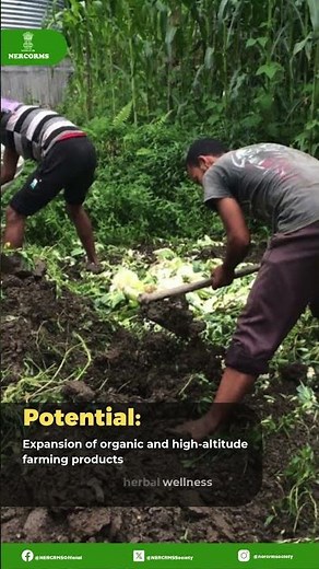 Sikkim – A Pioneer in Organic Agriculture 🌱