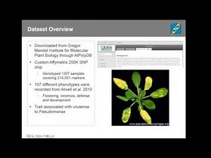 GWAS in a model organism: Arabidopsis thaliana