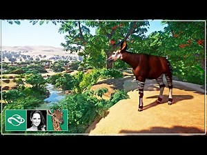 I Built a STUNNING Okapi Mountain Habitat in Planet Zoo
