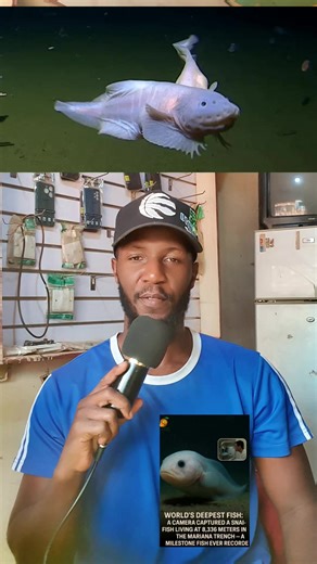 Exploring the Mariana Trench: The World of Snail Fish