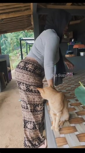 Exploring Maya Village in the USA