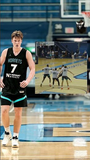 hivelights 🐝 📹 #basketball #highlights