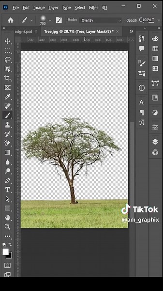 Easily Cut Out a Tree in Photoshop Using Channels