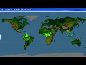 CBSE Class 12 Biology - 15 | Biodiversity And Conservation | Full Chapter | NCERT Animation | JEE N