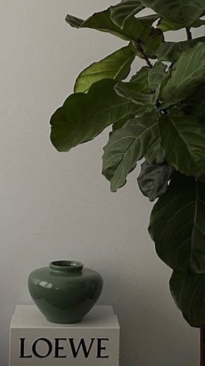 Paulina Barbar on Instagram: "Sets all summer @peppermayo ✨ 🎥 @alainmfilms"