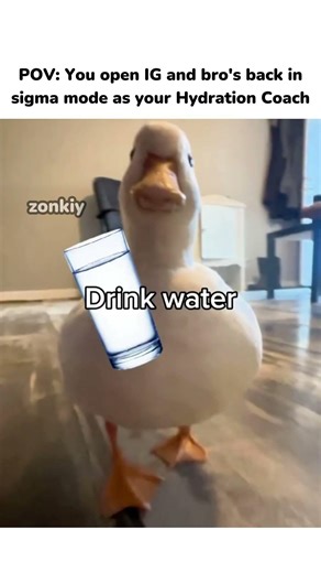 That one hydration coach duck on your feed 🦆💦 #memes