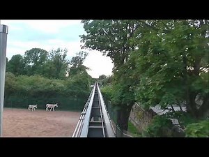 Chester Zoo | Monorail POV