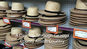 A Day Trip Through Geauga County Amish Country - My Ohio Fun