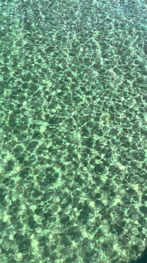 Enjoying Sunday Activities in South Bay