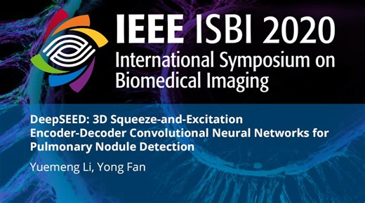 DeepSEED: 3D Squeeze-and-Excitation Encoder-Decoder Convolutional Neural Networks for Pulmonary Nodule Detection