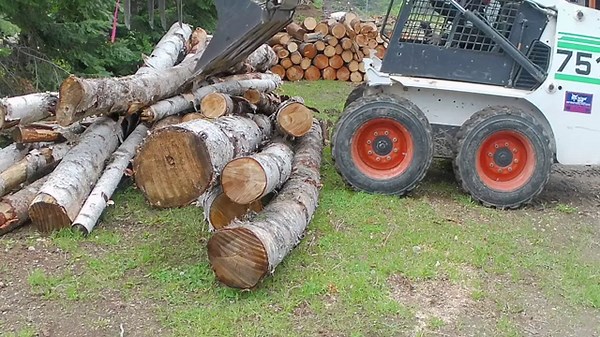 Easy Firewood Bucking (10 Minute Log Deck)