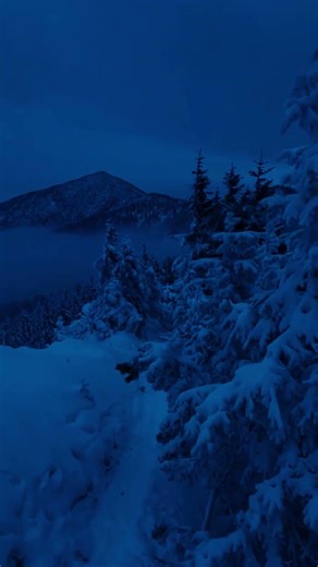 A channel with backgrounds and source files from tg:frenzy_love