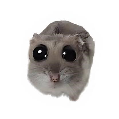 😭😭🤧🤧🤧 | Pixie Dust